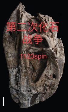 怀四胞胎住大院，深情大佬撩上瘾封面