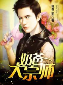 赘婿为尊封面