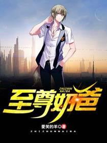 赘婿之男儿本色封面