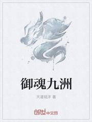 圣手医仙封面
