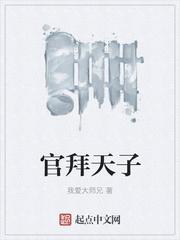 穿越秦朝我是扶苏封面