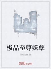 大明乱贼封面