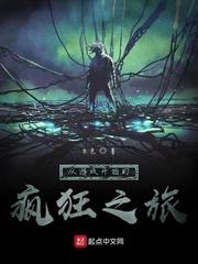 急速追凶封面