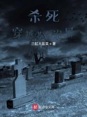 叶枫姜婉儿洛雪封面