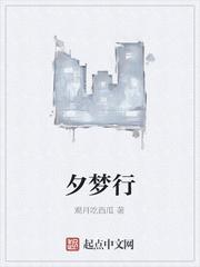 我只是个修路的封面