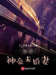 半只脚踏入深渊封面