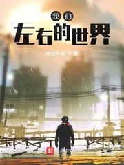 天外天之界壁封面
