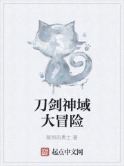 海贼王之盗王之王封面