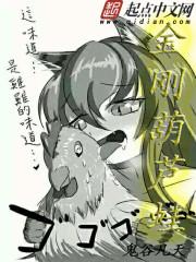 沙暴之歌封面