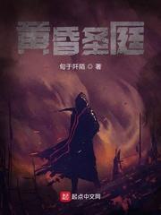 我来征服阿拉德了封面