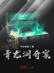 秦守成桂军封面