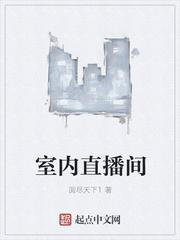 林凡是主角的现代小说封面