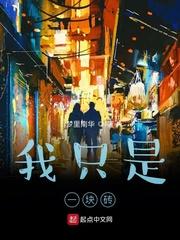 租个女友回家过年百度百科封面