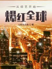 无上之灾封面