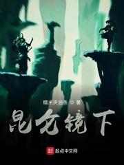 云江飞雁封面