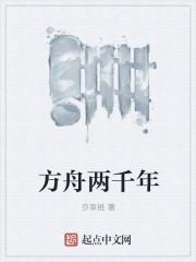 乱世情缘41集封面