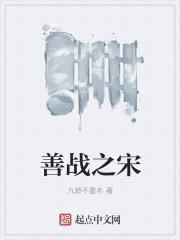 我真不想做忠臣封面