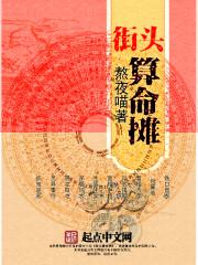 我真是风水大师封面