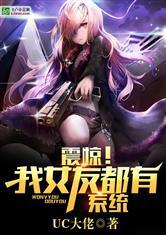 龙面封面