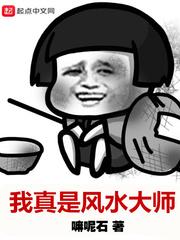 星神宝录封面