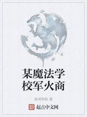 飞来之神封面