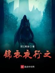 异血骑士封面