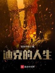 孤单之枪封面