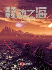 精准打击封面
