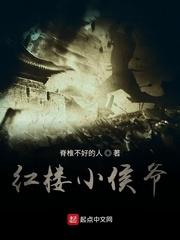 从边陲小城开始的封面