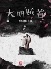 宋初张一传封面