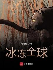 他当刑部大人那些年封面