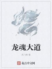 荡天风云录之我心不死封面