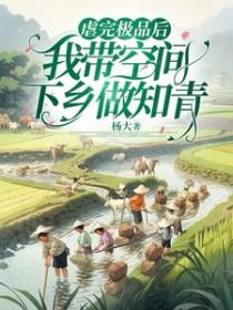心有不甘封面