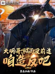 请不要质疑多周目玩家封面