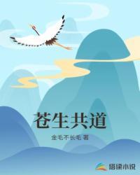 正义的女仆封面