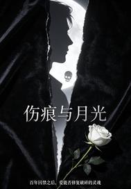 追逃十八年封面