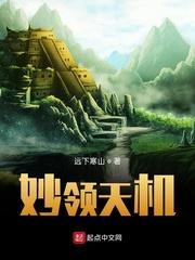 至尊兵王教师封面