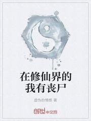 三十三天苍穹传封面