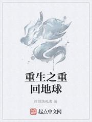 一场花开一场花落封面