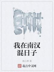二十七载的拼音封面