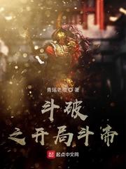 你是我的光芒小说白术顾野封面
