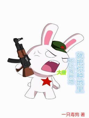 拥有混沌珠的封面