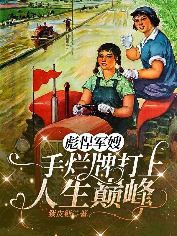 混账谁说我不是阉党封面